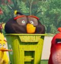 Angry Birds ve filmu / Angry Birds (2016)(SK)