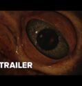 Hatching Trailer (2022)