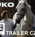 Buko (2022) CZ HD Trailer /4K/