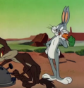 Bugs Bunny and Wile E Coyote