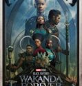 Black Panther: Wakanda nechť žije / Black Panther: Wakanda Forever (2022)(CZ)