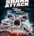 Útok pětihlavého žraloka (2017) (TV film) USA